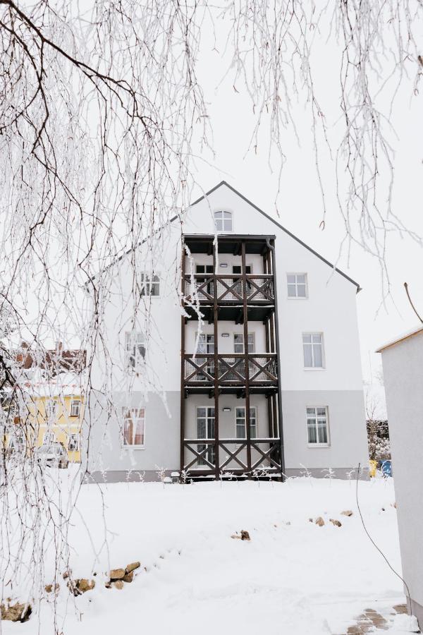 U Zlate Brizy Krusne Hory - Erzgebirge Apartment Horni Blatna Exterior photo