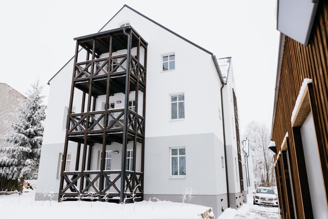 U Zlate Brizy Krusne Hory - Erzgebirge Apartment Horni Blatna Exterior photo